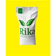 3 KARIŞIM ÇİM TOHUMU - 3M EKONOMİK - 10 KG