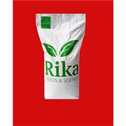 6 KARIŞIM ÇİM TOHUMU - 6M SPORT - 10 KG