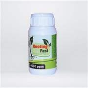 KÖKLENDİRME HORMONU SIVI - 4000 PPM