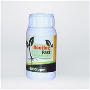 KÖKLENDİRME HORMONU SIVI - 8000 PPM